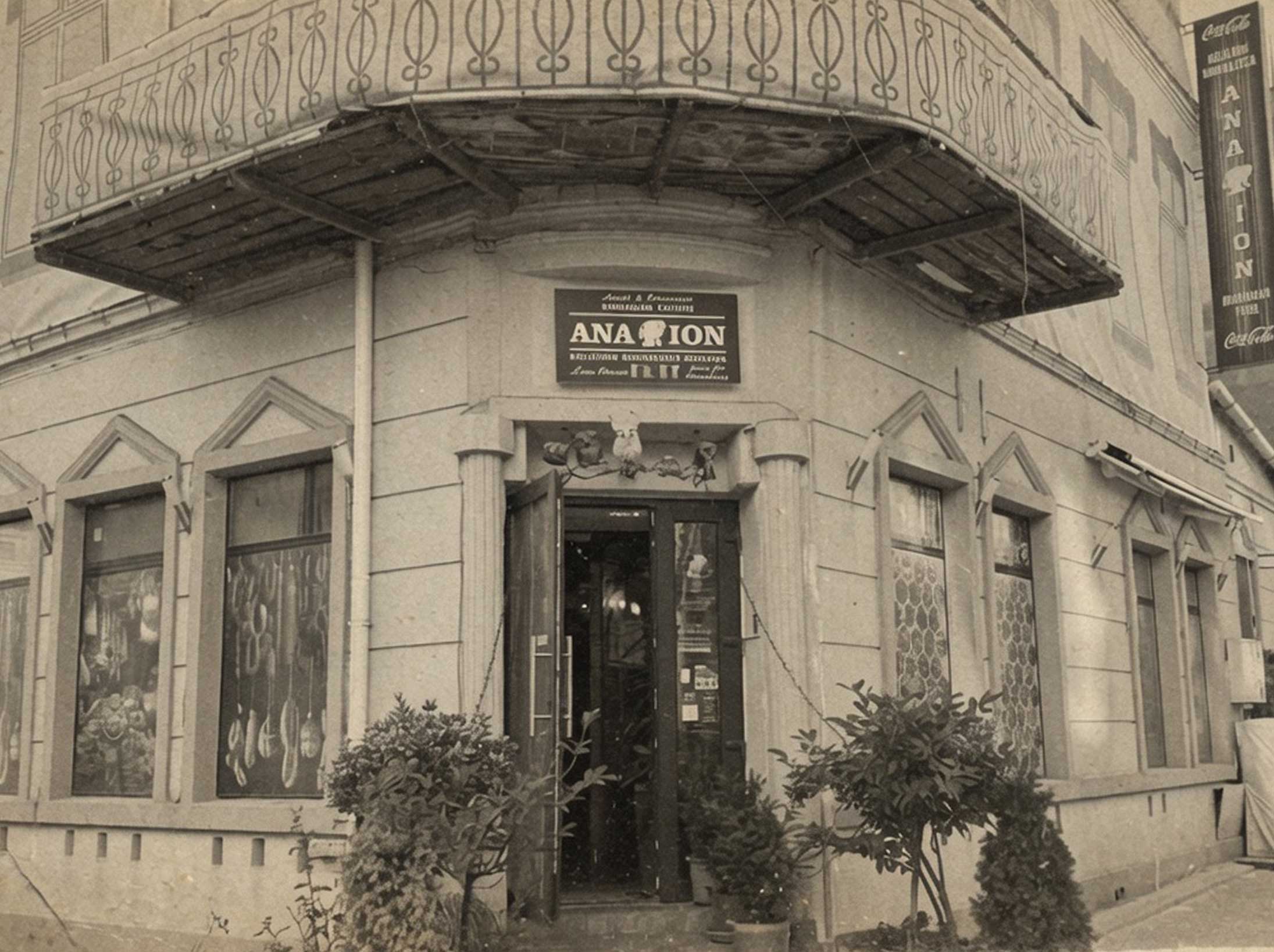 Restaurant Ana si Ion